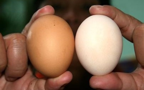 Cách nhận biết trứng gà Trung Quốc, trứng tẩy trắng