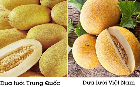 Cách phân biệt dưa lưới Trung Quốc và Việt Nam