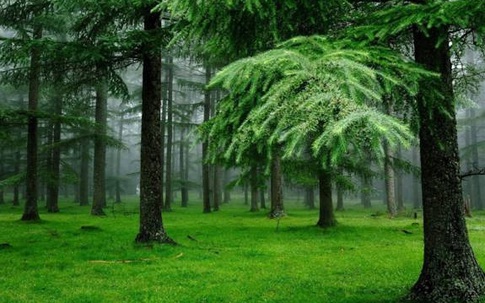 6 biểu tượng phong thủy giúp tăng cường sức khỏe và tuổi thọ