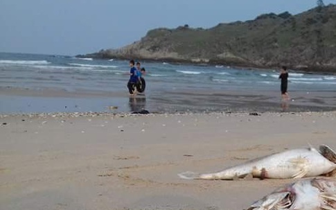 Nỗi lo của biển và người