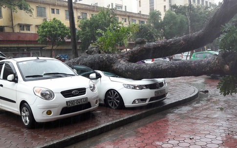 Tin mới nhất về bão số 3: "Thần Sét" suy yếu thành áp thấp nhiệt đới