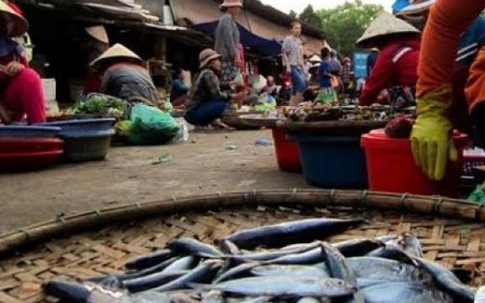 Dân không dám ăn cá biển, thịt lợn tăng giá mạnh