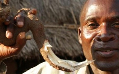 Tục kỳ lạ ở Malawi: Thuê người đưa con gái "vào đời"