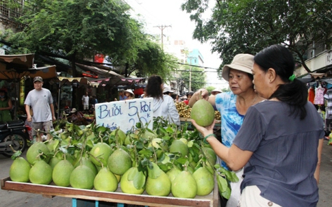 Sầu riêng, măng cụt 'nhí' giá rẻ hút hàng