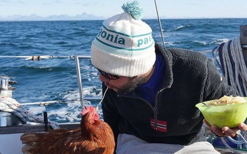 Chàng trai đi thuyền vòng quanh thế giới với một con gà