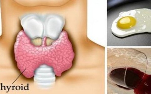 6 độc tố ẩn nấp trong đồ dùng khiến bạn dễ béo bụng, mắc bệnh tuyến giáp