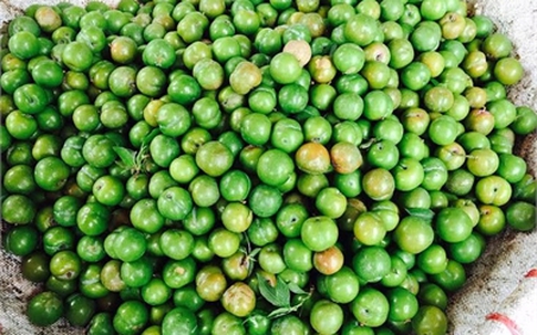 Dân hàng rong thu 10 triệu/ngày nhờ bán mận đầu mùa