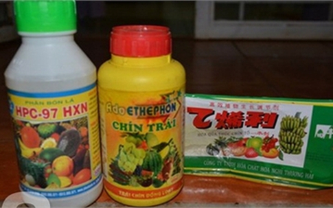 Hóa chất biến mít xanh non thành mít chín vàng thơm lừng