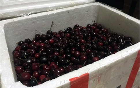 Bay từ Mỹ về Việt Nam, thùng cherry bị vơi mất 1/3