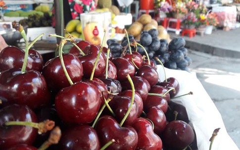 Cherry Mỹ nhập khẩu phơi cả ngày dưới trời nắng vẫn tươi