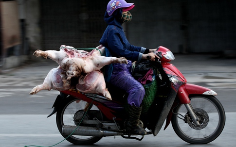 Heo 'lõa thể' từ khắp ngả nườm nượp vào chợ Thủ đô