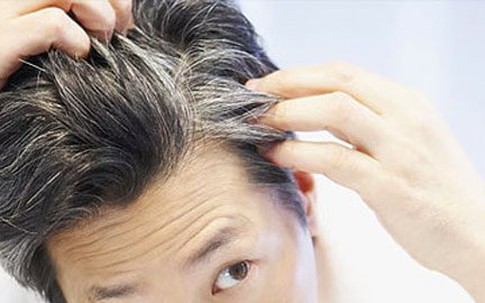 Món ăn - Thuốc ngăn ngừa bạc tóc
