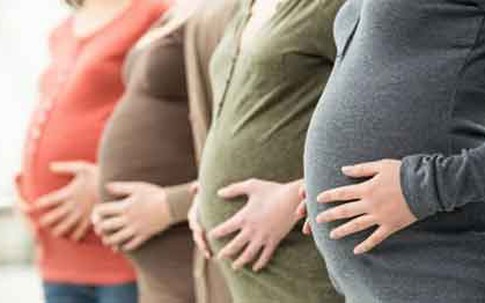 Chấn động Hà Lan: Hàng loạt phụ nữ bị bơm nhầm tinh trùng