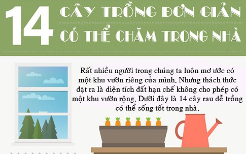 14 loại rau, củ, quả lý tưởng trồng trong nhà