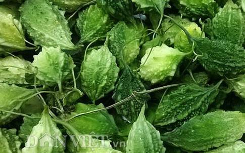 Đặc sản khổ qua rừng 80.000 đồng/kg