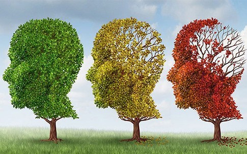 7 kỹ năng giúp bạn có trí thông minh "tuyệt đỉnh"