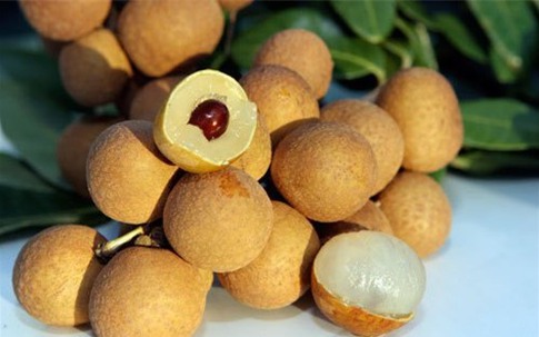 Công dụng “thần thánh” của hạt nhãn, hạt me… khiến 99% người ăn tiếc nuối
