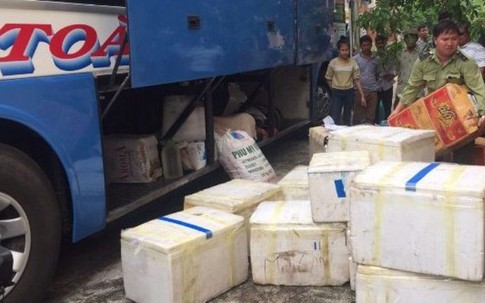 Nửa tấn cá chết “đi xe giường nằm” suýt tuồn vào Nam