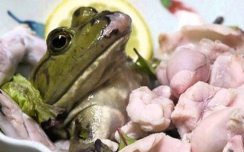 Những món ăn tàn nhẫn nhất thế giới