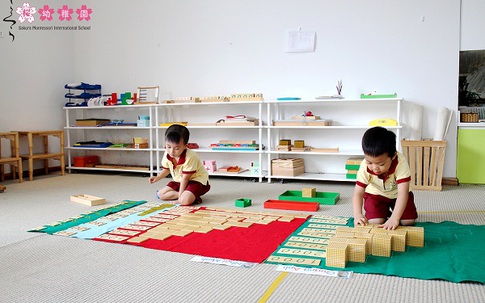 Sự bùng nổ của Phương pháp Giáo dục Montessori tại Việt Nam