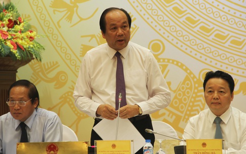 Đã tìm ra nguyên nhân cá chết hàng loạt ở biển miền Trung