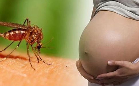 Zika có thể gây nên tình trạng yếu cơ và liệt
