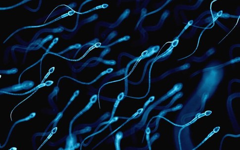 Nghiên cứu chứng minh hai đàn ông có thể sinh con với nhau