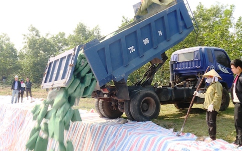 Quảng Bình tiêu hủy hơn 600 tấn hải sản sau thảm họa môi trường
