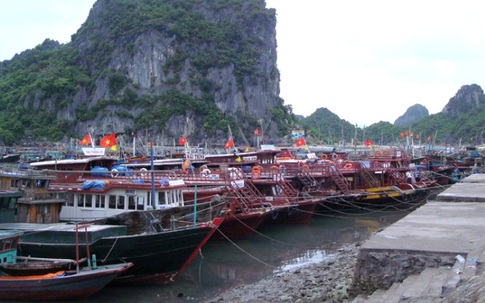 Bão số 1: Quảng Ninh cấm tàu thuyền ra khơi