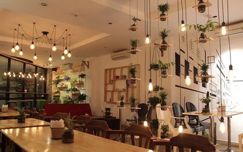 5 quán cà phê không gian xanh ở Hà Nội