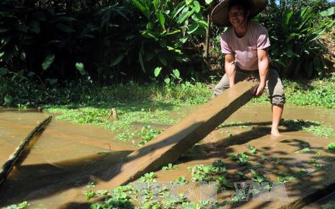 Chuyện ở rể của những người đàn ông Thái