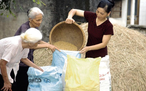 Vì sao phụ nữ dễ tổn thương hơn khi về già?