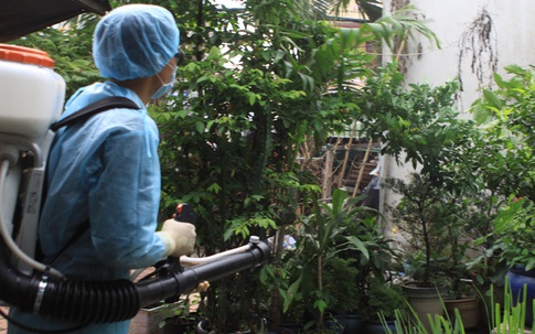 Nơi nào sốt xuất huyết Dengue nhiều, nguy cơ Zika sẽ tăng?