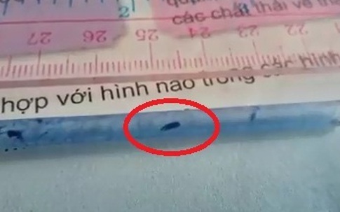Giáo viên, học sinh hốt hoảng vì giòi lúc nhúc trong ruột bút
