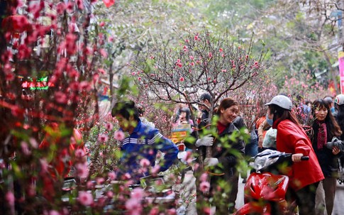 Tết nghỉ 7 ngày, vậy lịch những ngày nghỉ lễ còn lại thế nào?