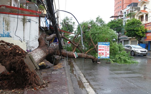Tại hai tỉnh Hải Phòng và Quảng Ninh: Nhiều công trình dân sinh, lớp học bị hư hại trong bão số 1