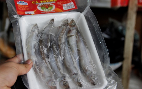 Phát hiện hàng tạ hải sản “bẩn” cung cấp  cho... siêu thị