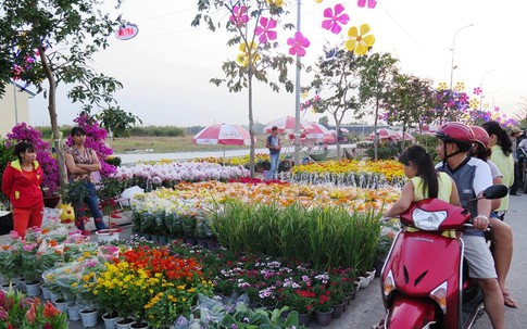 Khai mạc Chợ hoa Xuân Bình Điền 2016