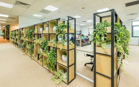 Lạ lẫm mô hình "rừng trong văn phòng"