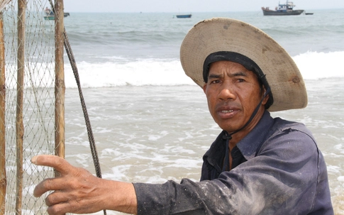 Người Đà Nẵng không lo sợ khi thấy cá chết trôi vào bờ biển