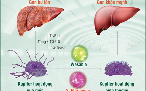 Cách bảo vệ gan trước nguy cơ thực phẩm bẩn