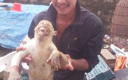 Triệu tập đối tượng chụp ảnh giết khỉ rồi tung lên Facebook