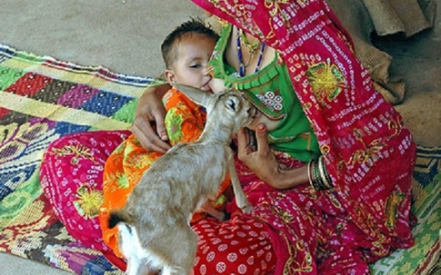 Hình ảnh người phụ nữ cho con và hươu cùng bú sữa gây sốc