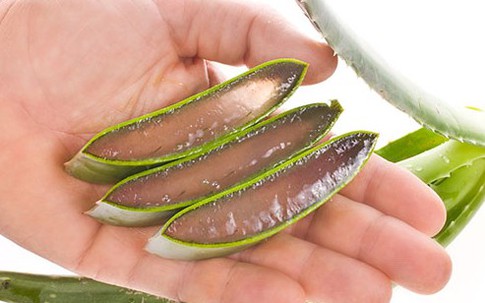 Sai lầm thường gặp khi sử dụng lô hội làm đẹp