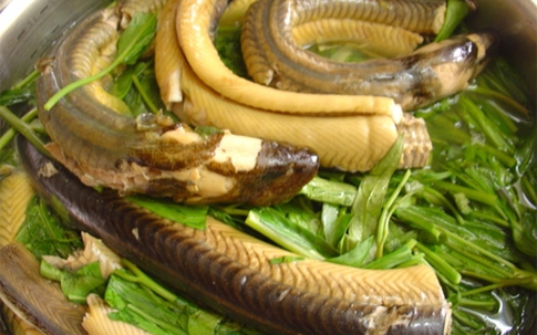 Ăn thịt lươn không đúng cách rất dễ nhiễm ký sinh trùng