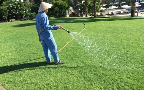 Trồng cỏ cho nhà giàu kiếm 500 triệu mỗi năm