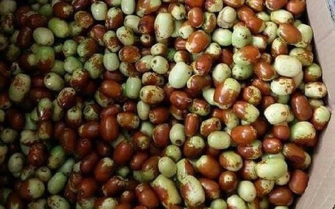Táo tàu Hàn Quốc xách tay, 720.000 đồng/kg vẫn cháy hàng