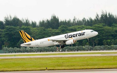 Máy bay Singapore bị chim đâm nứt kính chắn gió