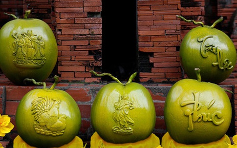 Dừa 'Song Kê' giá tiền triệu mỗi trái