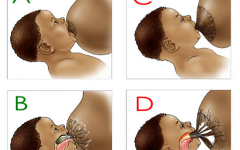 Tư thế đúng và sai khi cho trẻ bú